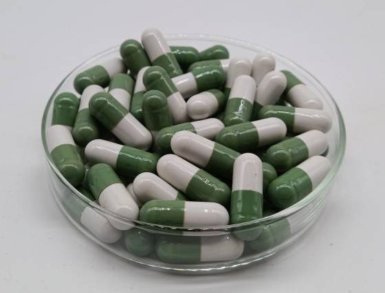 carnosine capsules